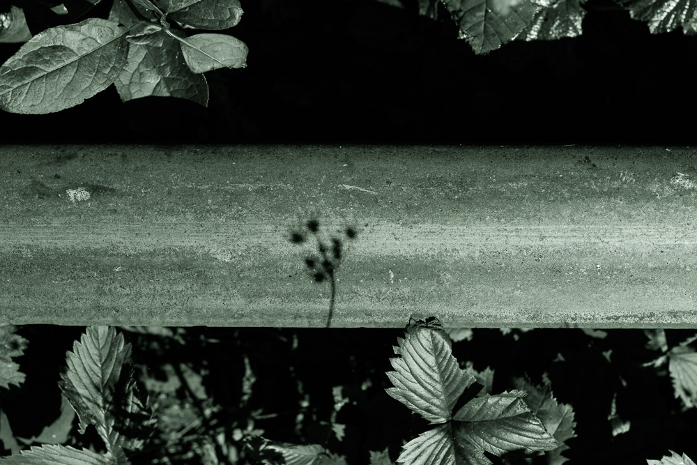 Ukraine, 2017, In The Tunnel of Love, Dreams and Illusions, #6