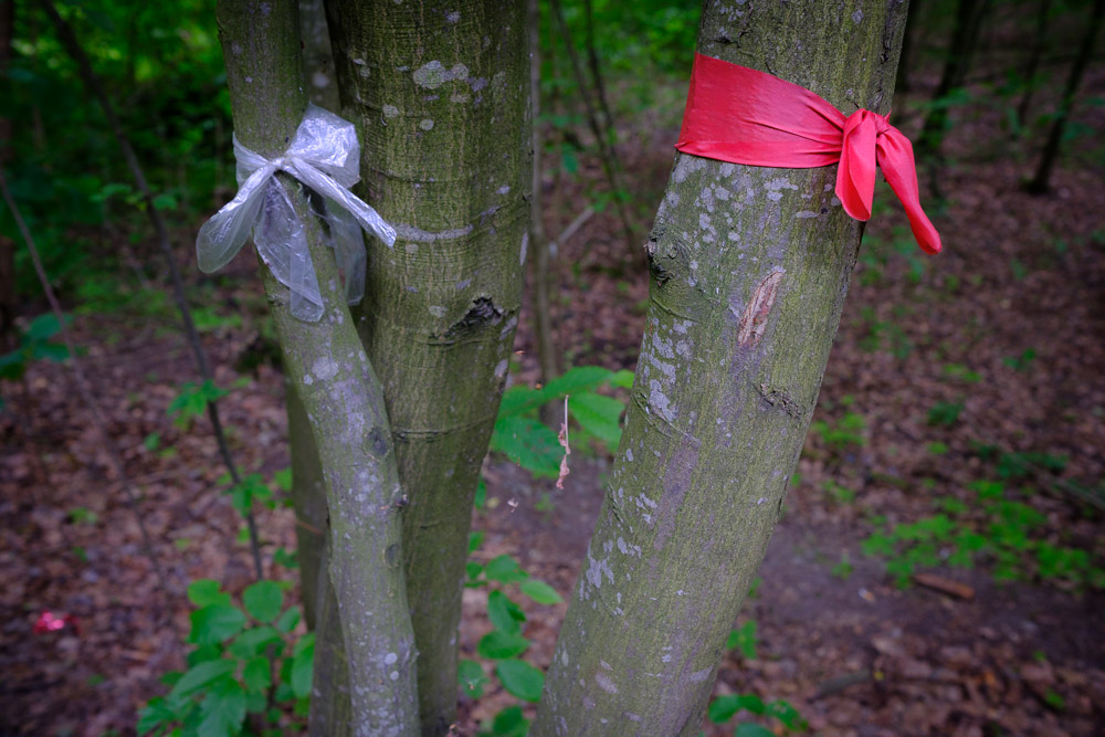 Ukraine, In The Tunnel of Love, Peace and War #11