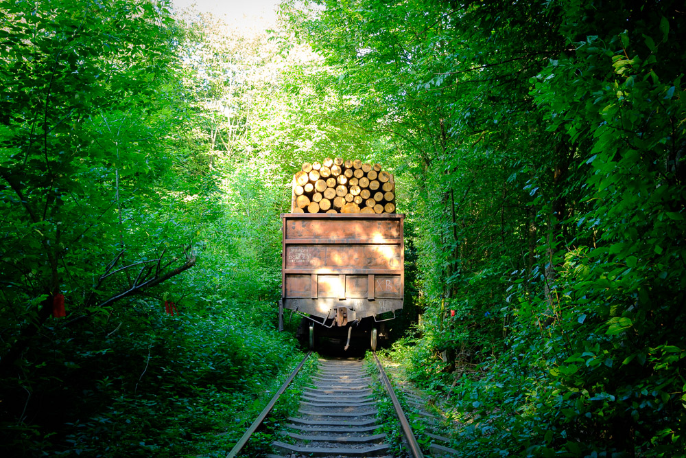 Ukraine, In The Tunnel of Love, Peace and War #32