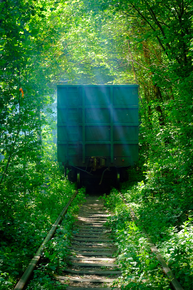 Ukraine, In The Tunnel of Love, Peace and War #51