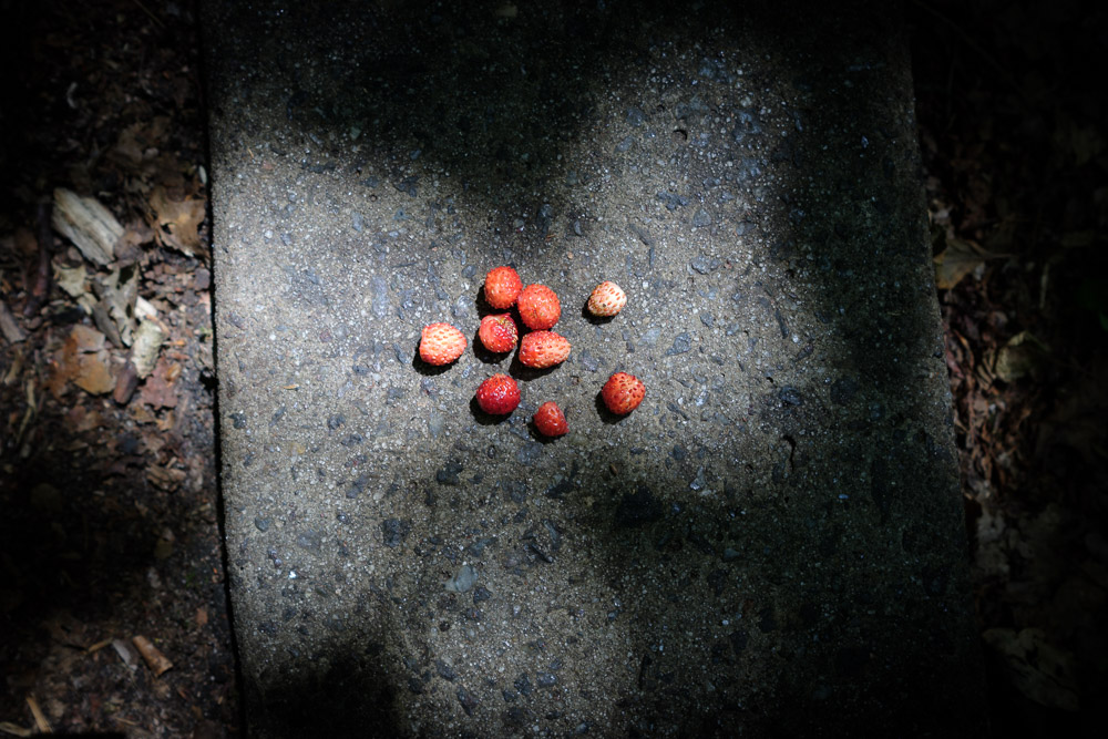 Ukraine, 2017, In The Tunnel of Love, Trial and Trepidations, #8