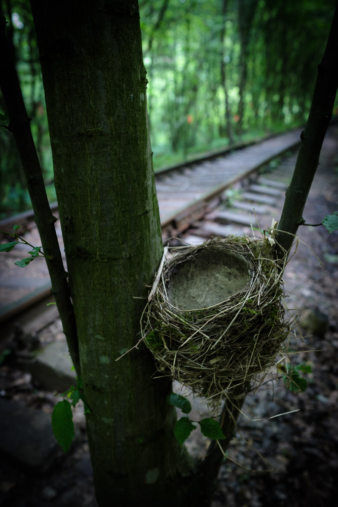 Ukraine, 2017, In The Tunnel of Love, Trial and Trepidations, #10