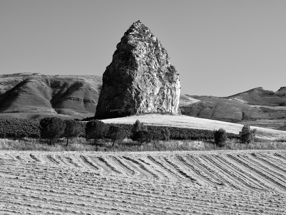 Sicily, Casa Nostra: stories from Corleone, Landscapes #10